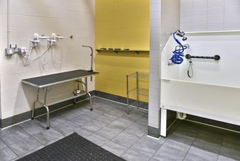 Dog wash station with tables, bath tub and faucets